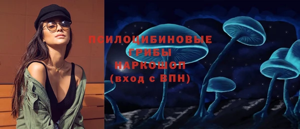 скорость Новозыбков