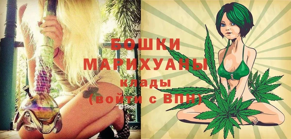 шишки Новодвинск