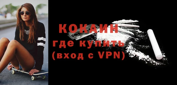 шишки Новодвинск