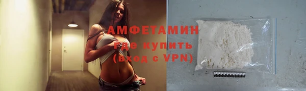 шишки Новодвинск