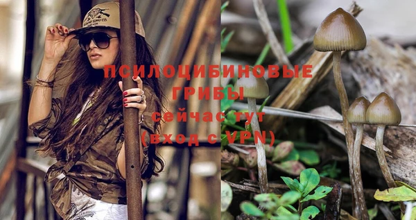 скорость Новозыбков