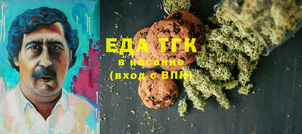 шишки Новодвинск