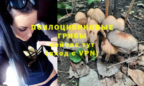 таблы Новокубанск