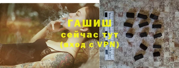 шишки Новодвинск