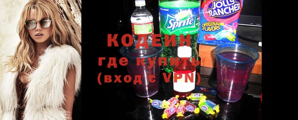 шишки Новодвинск