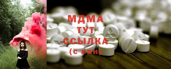 шишки Новодвинск