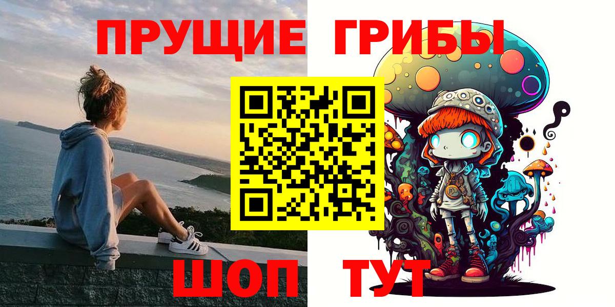 Галлюциногенные грибы Psilocybe Волоколамск