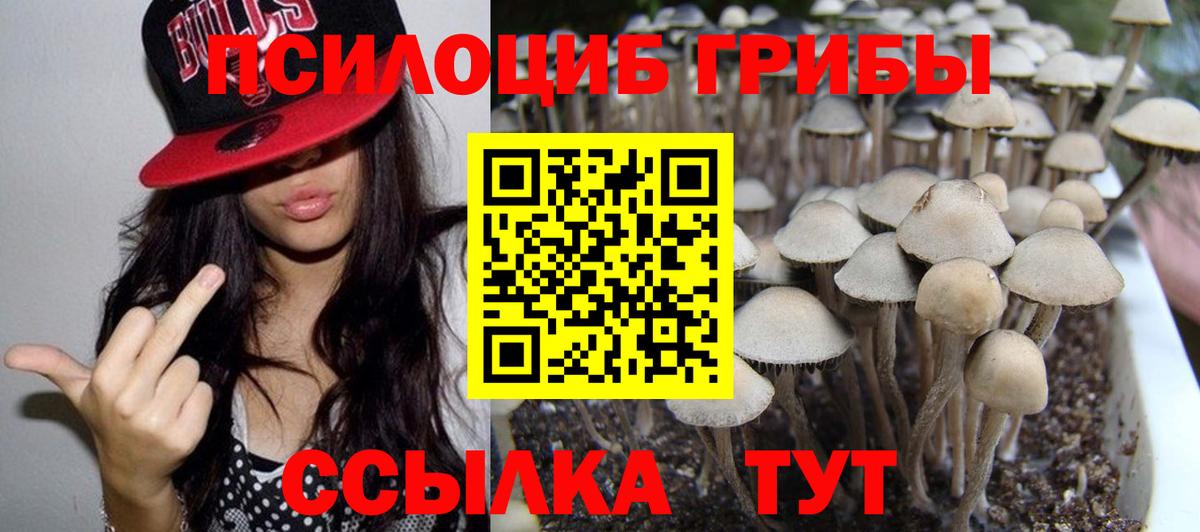 Псилоцибиновые грибы Magic Shrooms  Вход с VPN  Волоколамск 