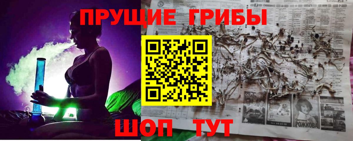 Галлюциногенные грибы мицелий  Псилоцибиновые грибы мицелий  Волоколамск 